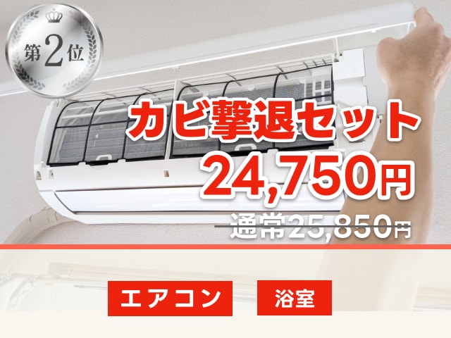 カビ撃退セット