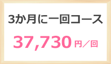 3か月に一回コース 37730円